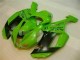Cheapest 2007-2008 Green Black Dunlop Kawasaki ZX6R Motorbike Fairing Kits Canada Cheapest 2007-2008 Green Black Dunlop Kawasaki ZX6R Motorbike Fairing Kits Canada